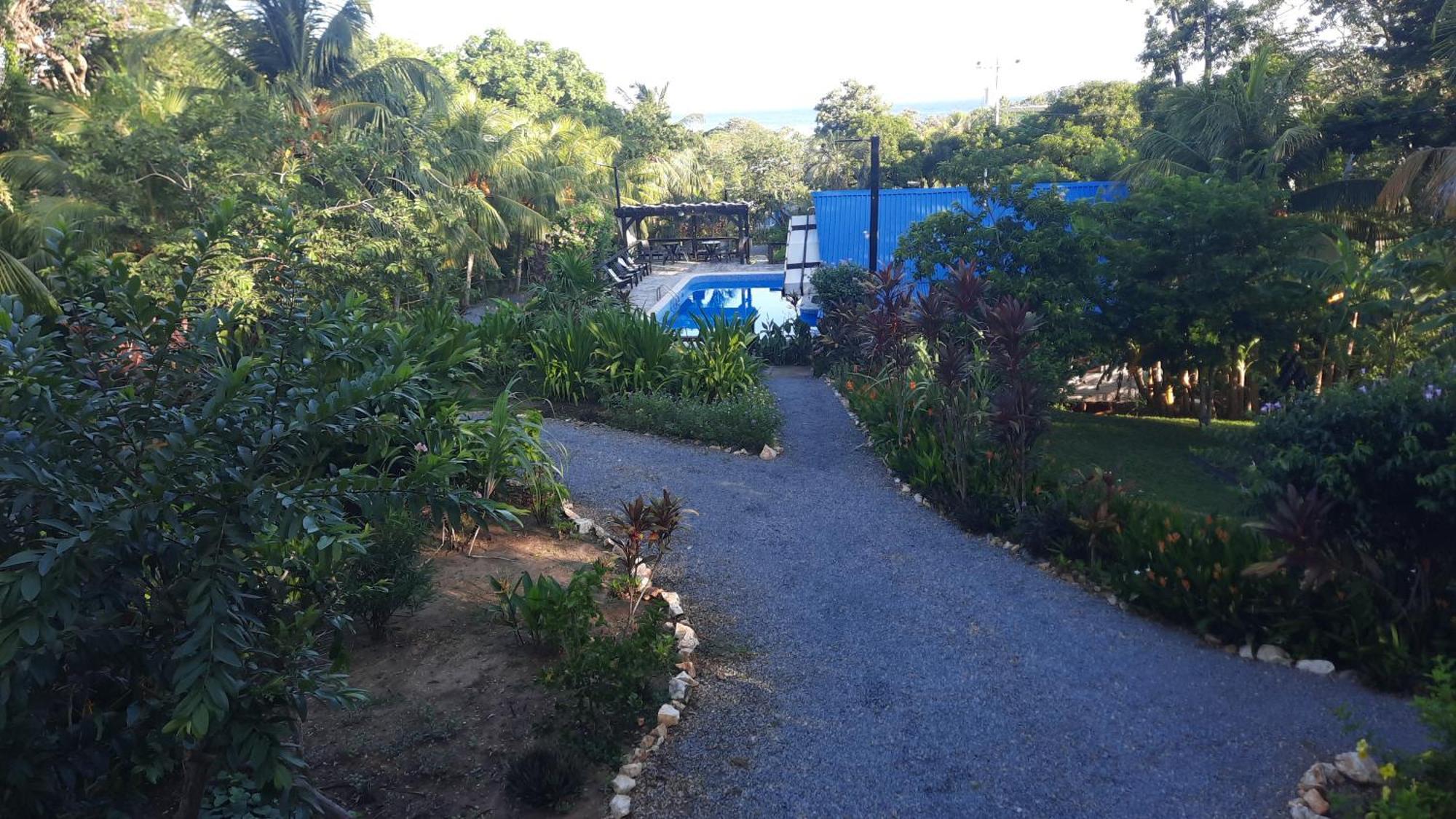 Guava Grove Resort & Villas Sandy Bay Exteriör bild